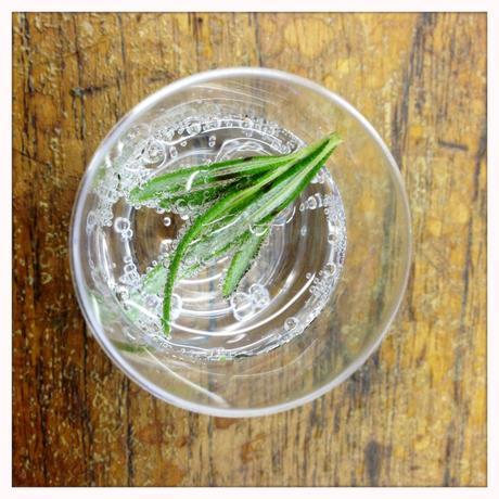 scottish juniper festival summerhall gin edinburgh glasgow foodie