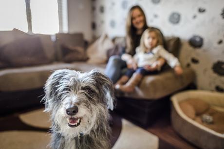 Pet Owners ‘Happier, Fitter and Wealthier’ than Counterparts