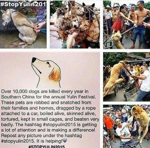 Stop Yulin, Save Helpless Animals. Stop Yulin
