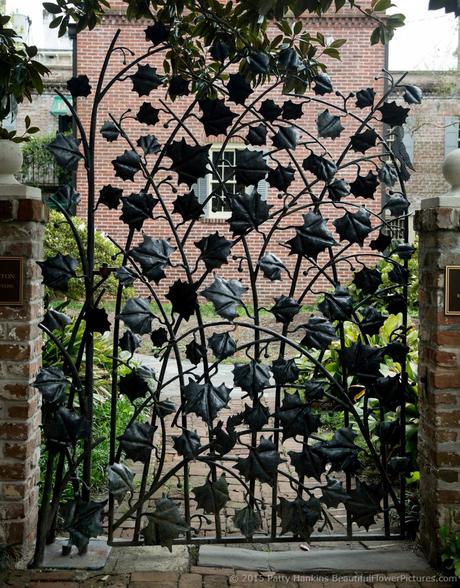 Wrought Iron Gate, Savannah, Georgia © 2015 Patty Hankins