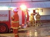 Fire Piggery Kills 2500 Animals