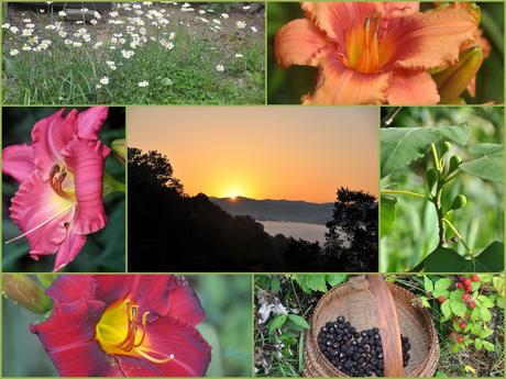 Welcome, Solstice! . . .