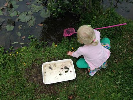 Our week at Bluestone, Wales