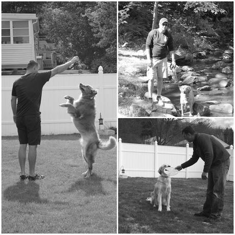 Father's Day with dogs