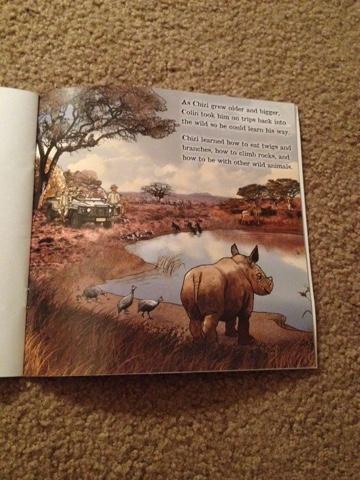 Chizi's Tale Book Review