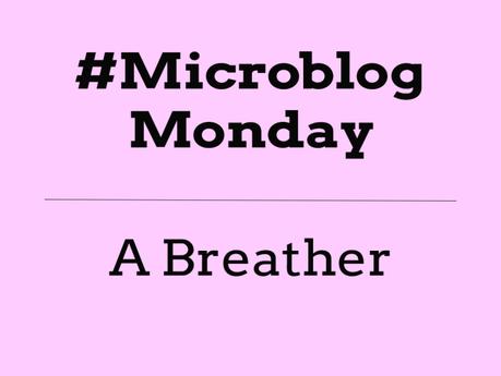 #MicroblogMonday #12 – A Breather