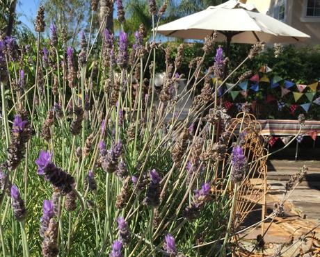 Father's Day Backyard Barbecue … SoCal Style