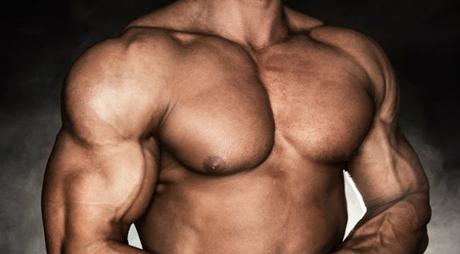 Build Chest Muscle