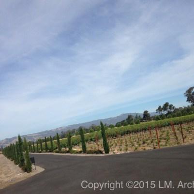 There’s Something About Sonoma…