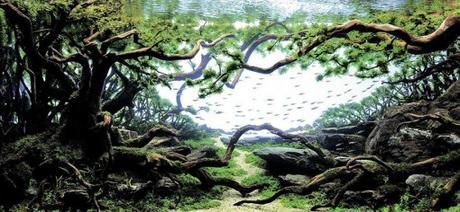Top 10 Best Examples of Aquascaping