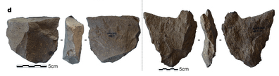 How old could the oldest stone tools be?