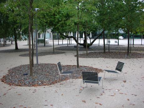 Bregenz Opera House - Seating in Grove of Trees