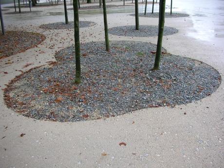 Bregenz Opera House - Tree Planting in Paved Surface Detail