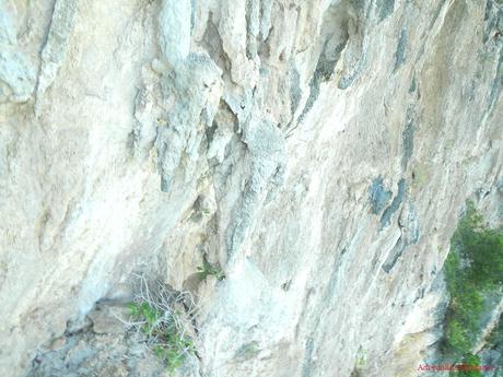 Vertical Bivouac at Kiokong White Rock Wall