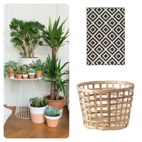 Collage-Ikea-LAPPLJUNG-RUTA-Rug-Black-White-Geometric-Aztec-Patterned-Gaddis-Basket-Natural-Yucca-Plant-Potted-Indoor-Cactus