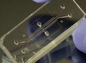 Design Year 2015 Human Organs-on-Chips