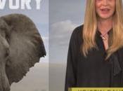 Kristin Bauer Interview Video Saving Elephants