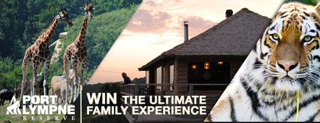 Win an overnight VIP family safari experience with the RealTimes ‘Ultimate Family Moments’ Competition
