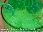 Increase Energy Reduce Pain Naturally. This Anti-Inflammatory Flavonoids Boost Spinach Juice
