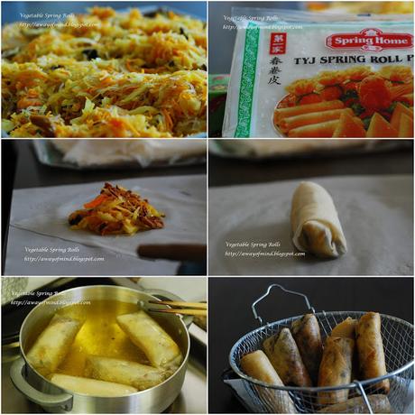 Vegetable Spring Rolls 春卷