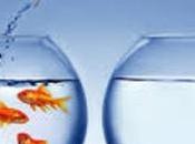 Conservatives Liberals: Believe Free Will Have Stronger Power