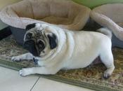 Looking Thinner Then ......