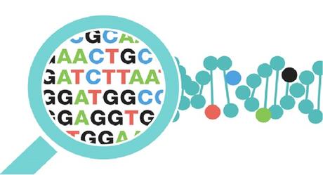 Part 2: How to Choose a Superior Genetic Test
