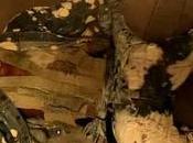 Kanye West Performs Glastonbury