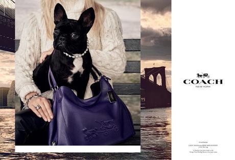 Miss Asia Kinney models for Coach