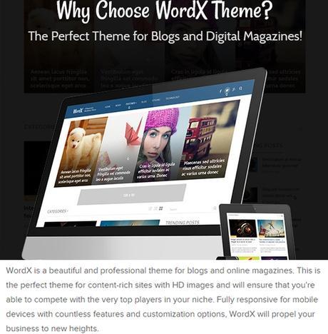 Premium-Theme-computergeekblog-3