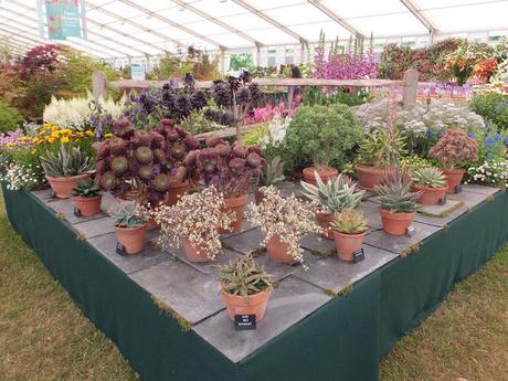 RHS Hampton Court Flower Show Celebrates 25 Years