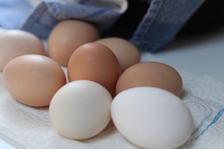 Eggs Nutrition Facts Analysis