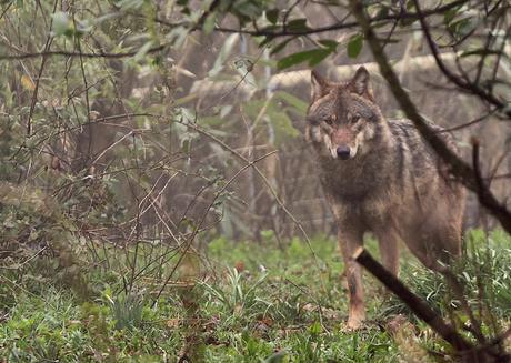 Fun Things To Do In Bristol This Summer!