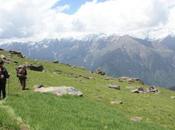 DAILY PHOTO: Trekkers Alpine Meadow