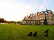 Hoxton Hotels Owner Wins Bidding Gleneagles