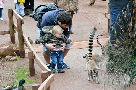 A visit to South Lakes Safari Zoo