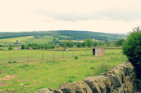 Nidderdale Farm