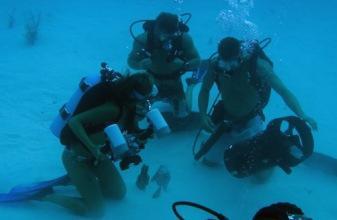 What is Into the Blue really about? dive