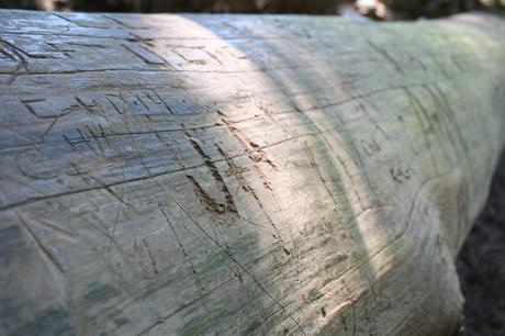 Big Sur Carvings | Francois et Moi