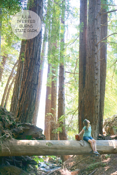 Hiking in Big Sur | Francois et Moi