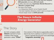 Famous Hoaxes That Fooled Internet Infographic