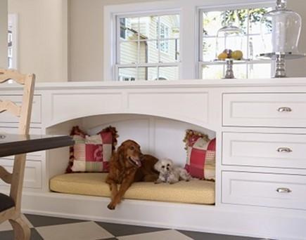 Making Pet Accessories Blend in With Your Home Decor