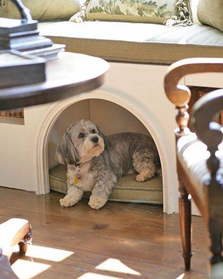 Making Pet Accessories Blend in With Your Home Decor