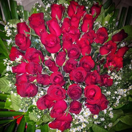 Love is… 50 long-stemmed red roses ❤️
