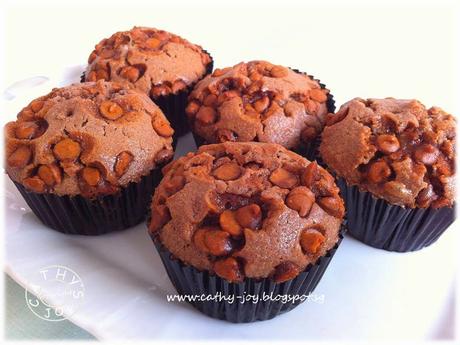 Chocolate Cinnamon Chips Muffins