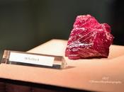 Rare 950-ct Natural Unheated Burmese Ruby Rough Singapore International Jewelry Expo 2015