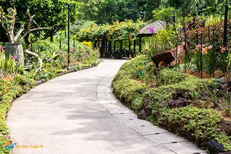 Singapore Botanic Gardens 