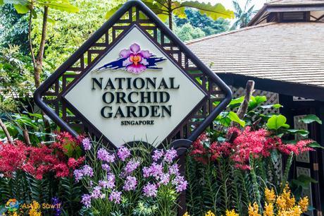 National Orchid Garden within Singapore Botanic Garden