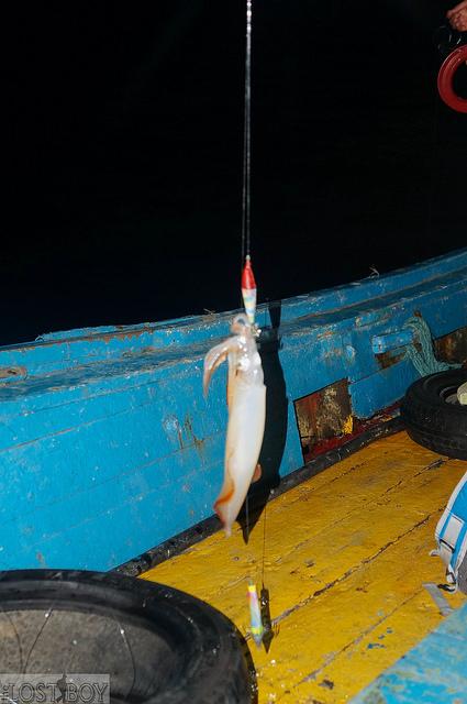 Squid Jigging in Terengganu: The Experience