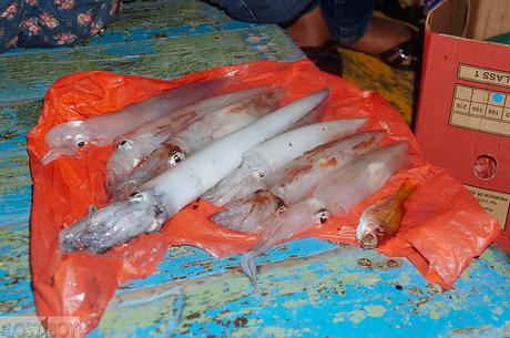 Squid Jigging in Terengganu: The Experience